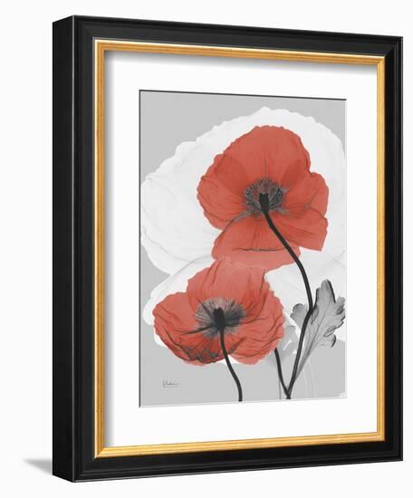 Red Moment Poppy-Albert Koetsier-Framed Premium Giclee Print