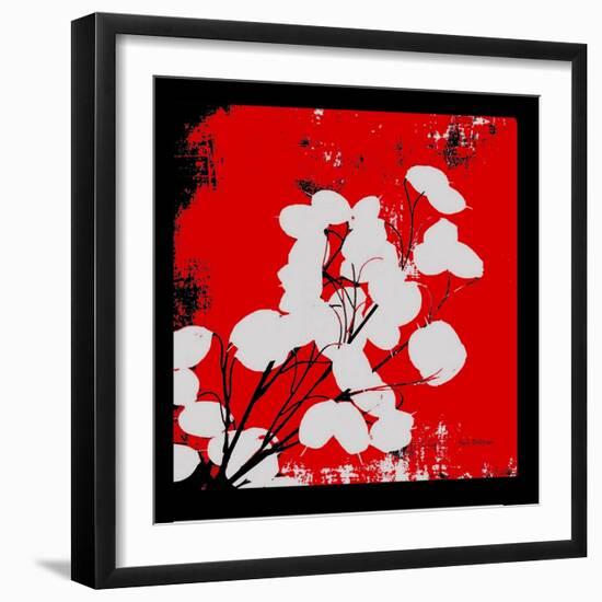Red Money Plant-Herb Dickinson-Framed Photographic Print