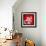 Red Money Plant-Herb Dickinson-Framed Photographic Print displayed on a wall