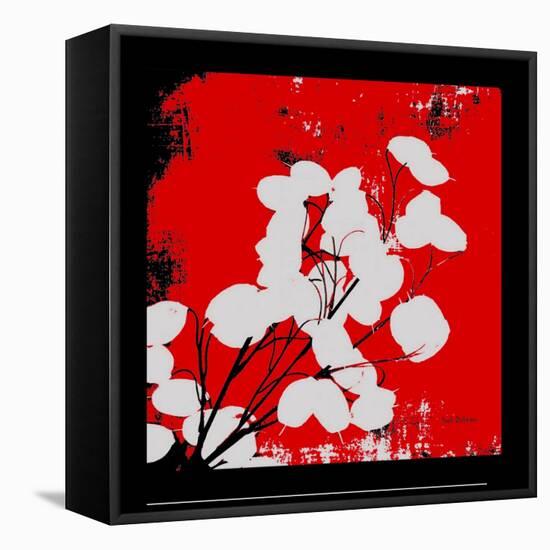 Red Money Plant-Herb Dickinson-Framed Premier Image Canvas