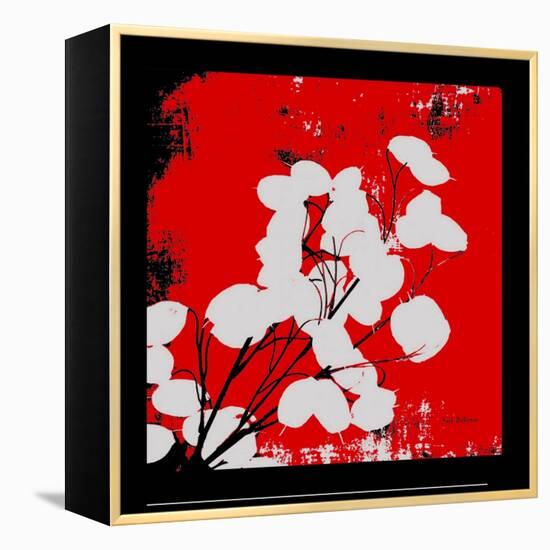 Red Money Plant-Herb Dickinson-Framed Premier Image Canvas