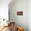 Red Morning II-Heidi Westum-Mounted Photographic Print displayed on a wall