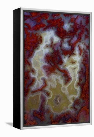Red Moss Agate Slab-Darrell Gulin-Framed Premier Image Canvas