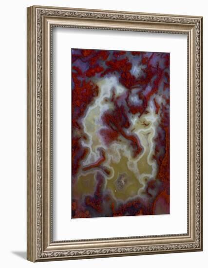 Red Moss Agate Slab-Darrell Gulin-Framed Photographic Print