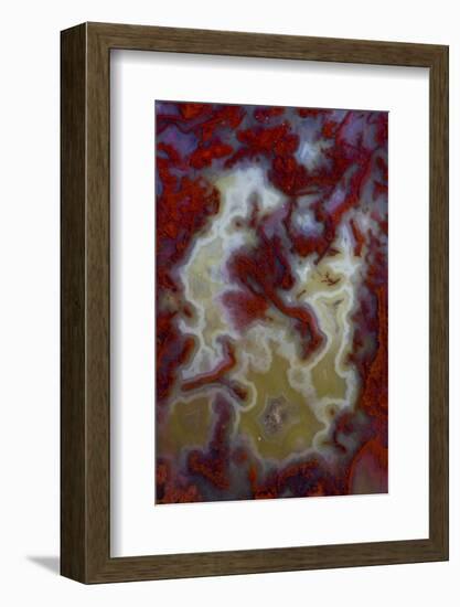 Red Moss Agate Slab-Darrell Gulin-Framed Photographic Print