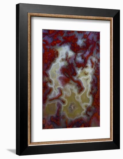 Red Moss Agate Slab-Darrell Gulin-Framed Photographic Print