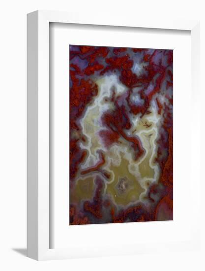 Red Moss Agate Slab-Darrell Gulin-Framed Photographic Print