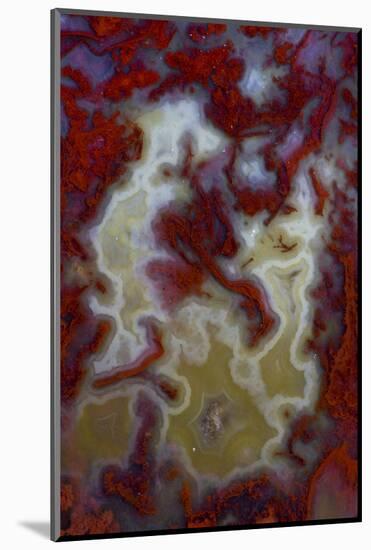 Red Moss Agate Slab-Darrell Gulin-Mounted Photographic Print