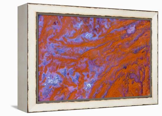 Red Moss Agate-Darrell Gulin-Framed Premier Image Canvas