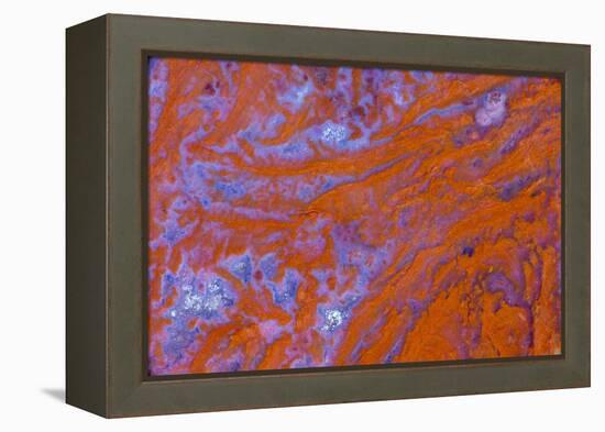 Red Moss Agate-Darrell Gulin-Framed Premier Image Canvas