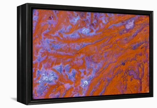 Red Moss Agate-Darrell Gulin-Framed Premier Image Canvas