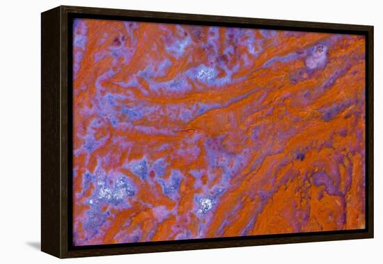 Red Moss Agate-Darrell Gulin-Framed Premier Image Canvas