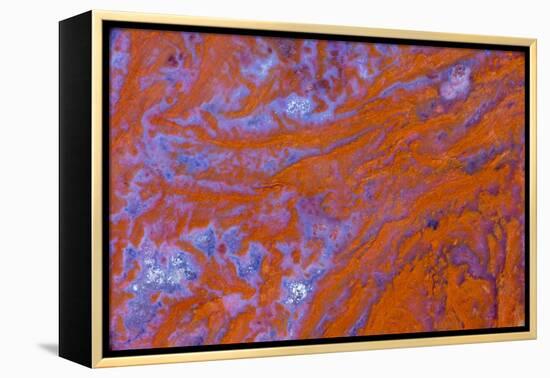 Red Moss Agate-Darrell Gulin-Framed Premier Image Canvas