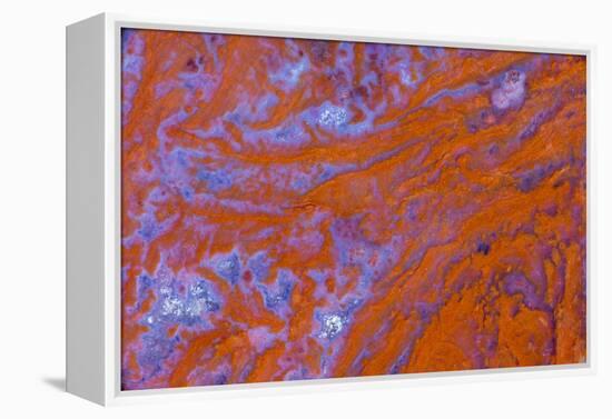 Red Moss Agate-Darrell Gulin-Framed Premier Image Canvas