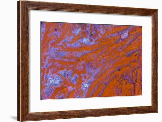 Red Moss Agate-Darrell Gulin-Framed Premium Photographic Print