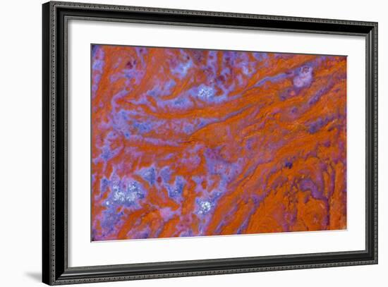 Red Moss Agate-Darrell Gulin-Framed Photographic Print