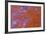 Red Moss Agate-Darrell Gulin-Framed Photographic Print