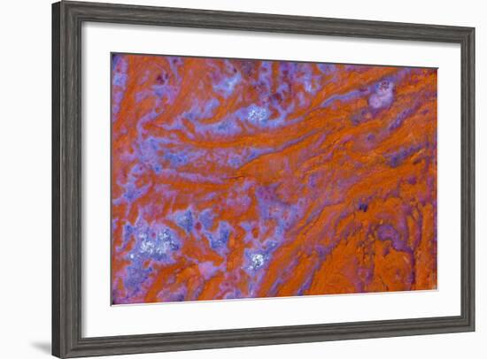 Red Moss Agate-Darrell Gulin-Framed Photographic Print