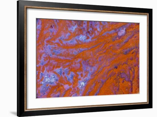 Red Moss Agate-Darrell Gulin-Framed Photographic Print