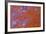 Red Moss Agate-Darrell Gulin-Framed Photographic Print