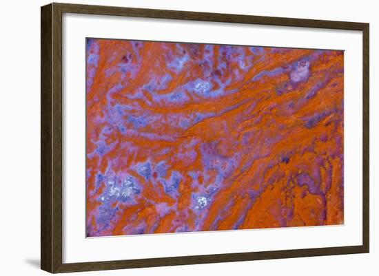 Red Moss Agate-Darrell Gulin-Framed Photographic Print