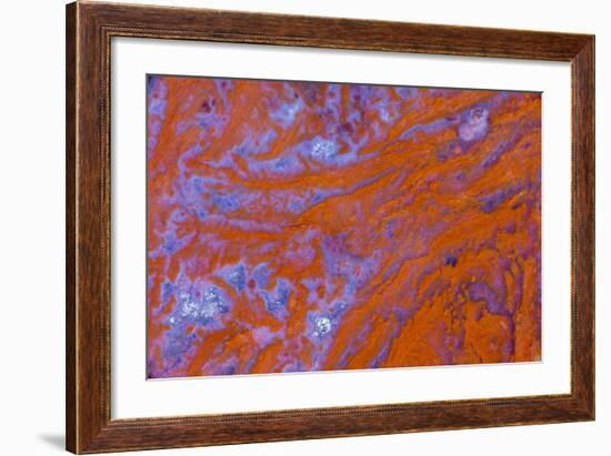 Red Moss Agate-Darrell Gulin-Framed Photographic Print