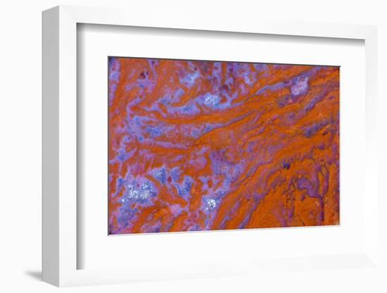 Red Moss Agate-Darrell Gulin-Framed Photographic Print