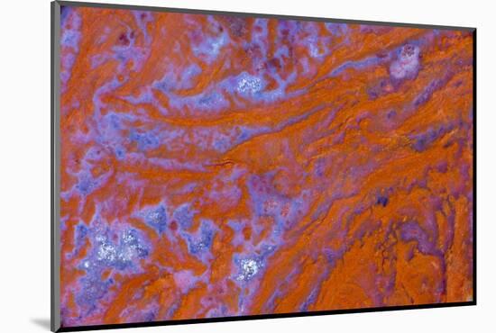 Red Moss Agate-Darrell Gulin-Mounted Photographic Print