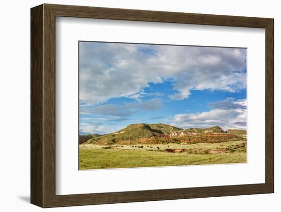 Red Mountain Open Space Panorama - Mountain Ranch Landscape in Northern Colorado near Fort Collins,-PixelsAway-Framed Photographic Print