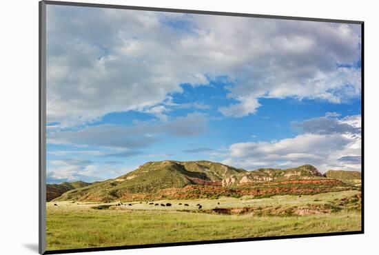 Red Mountain Open Space Panorama - Mountain Ranch Landscape in Northern Colorado near Fort Collins,-PixelsAway-Mounted Photographic Print