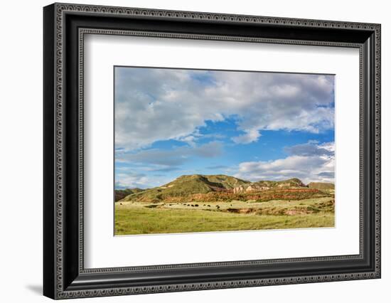 Red Mountain Open Space Panorama - Mountain Ranch Landscape in Northern Colorado near Fort Collins,-PixelsAway-Framed Photographic Print