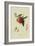 Red Nectarine-William Hooker-Framed Art Print