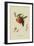 Red Nectarine-William Hooker-Framed Art Print