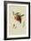 Red Nectarine-William Hooker-Framed Art Print