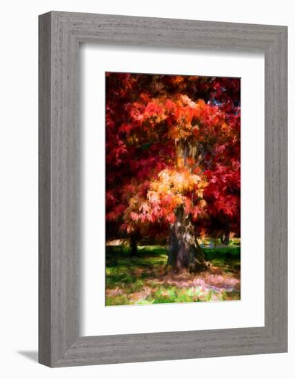 Red Oak-Philippe Sainte-Laudy-Framed Photographic Print