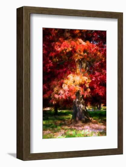 Red Oak-Philippe Sainte-Laudy-Framed Photographic Print