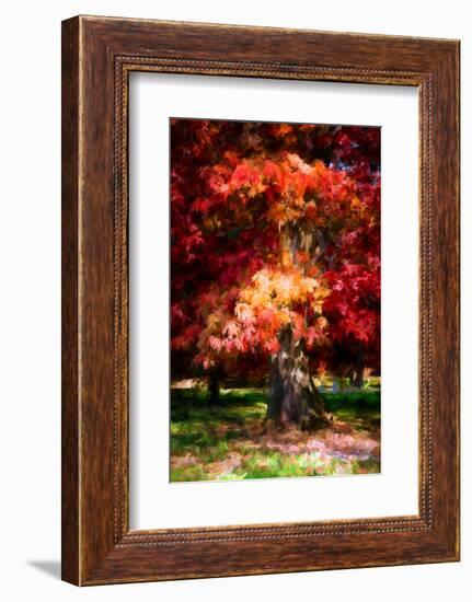 Red Oak-Philippe Sainte-Laudy-Framed Photographic Print