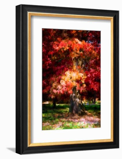 Red Oak-Philippe Sainte-Laudy-Framed Photographic Print