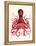 Red Octopus 3-Fab Funky-Framed Stretched Canvas