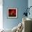 Red on Red-Philippe Sainte-Laudy-Framed Photographic Print displayed on a wall