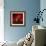 Red on Red-Philippe Sainte-Laudy-Framed Photographic Print displayed on a wall