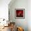 Red on Red-Philippe Sainte-Laudy-Framed Photographic Print displayed on a wall