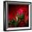 Red on Red-Philippe Sainte-Laudy-Framed Photographic Print