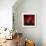 Red on Red-Philippe Sainte-Laudy-Framed Photographic Print displayed on a wall