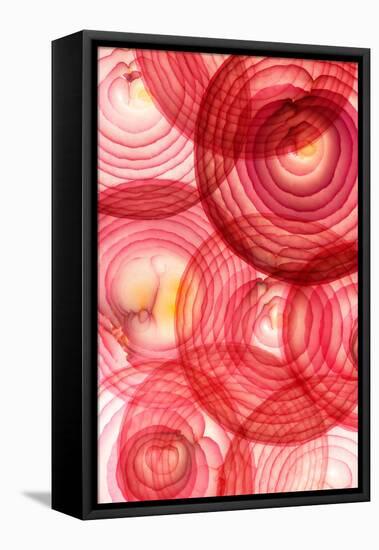 Red Onion Segments-Ryan Matthew Smith-Framed Premier Image Canvas