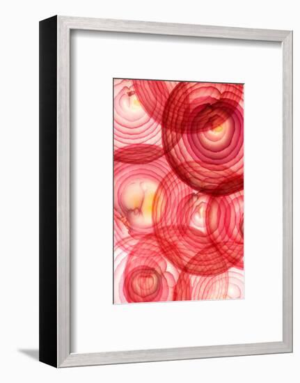 Red Onion Segments-Ryan Matthew Smith-Framed Photographic Print