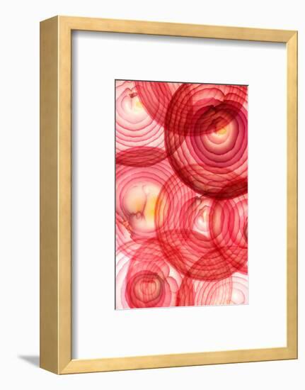 Red Onion Segments-Ryan Matthew Smith-Framed Photographic Print