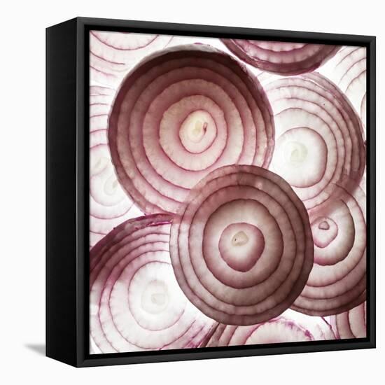 Red Onion Slices-Mark Sykes-Framed Premier Image Canvas