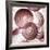 Red Onion Slices-Mark Sykes-Framed Photographic Print