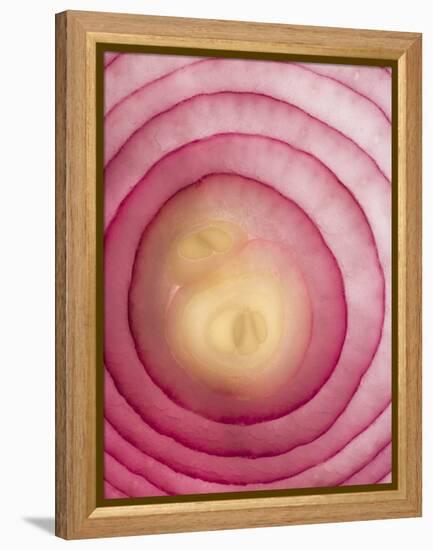 Red Onion-Greg Elms-Framed Premier Image Canvas